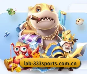 333体育app的故事